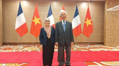 Hai nhà khoa học gốc Việt thăng hạng Huân chương Bắc đẩu bội tinh lên hạng Sỹ quan