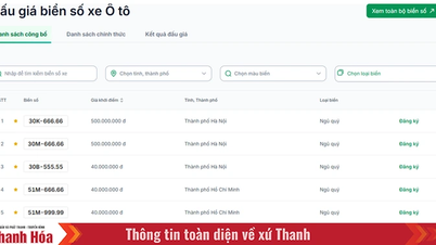 6 phiên đấu giá biển số xe, thu gần 6.600 tỷ đồng nộp ngân sách