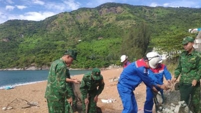Đồn Biên phòng Cửa khẩu cảng Vũng Rô ra quân làm...
