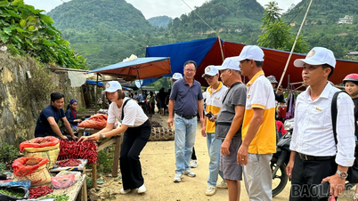 Khai mạc trại sáng tác văn học nghệ thuật tại xã Bắc Hà