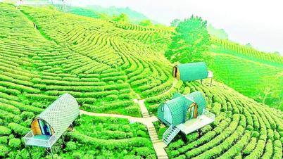 Xây dựng thương hiệu nông sản chất lượng cao