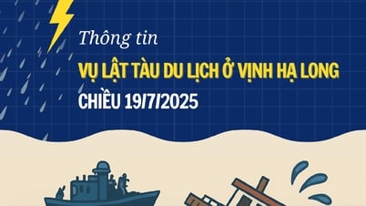 [Infographic] Thông tin vụ lật tàu du lịch chở 48 khách và 5 thuyền viên ở Vịnh Hạ Long