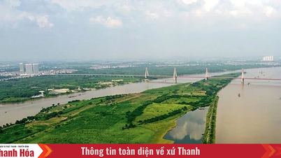 Chính phủ ban hành Nghị quyết gỡ vướng quy hoạch phân khu sau sắp xếp đơn vị hành chính