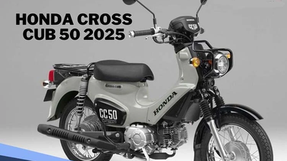 Ngắm Honda Cross Cub 2025 từ 63,8 triệu, "ăn xăng như ngửi"