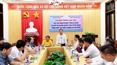 Thống nhất phương án tổ chức, hoạt động của Hiệp hội Doanh nghiệp tỉnh sau sáp nhập