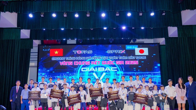 TOÁN TOÀN CẦU TOFAS 2025: 400 học sinh Việt Nam cùng tranh tài chuẩn quốc tế