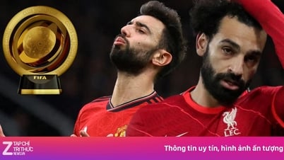 MU, Liverpool bị FIFA 'tước danh hiệu' sau quyết định gây tranh cãi