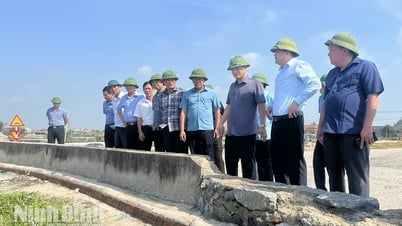 Xây dựng phương án bảo vệ 75 trọng điểm phòng, chống lụt bão năm 2025