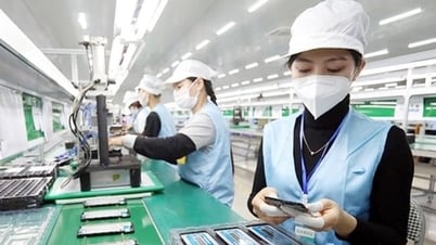 挑戦の流れに逆らって、飛躍的な成長を目指す