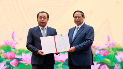 El Primer Ministro entregó la decisión de asignar el cargo de Ministro de Agricultura y Medio Ambiente al Sr. Tran Duc Thang.
