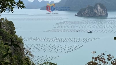 Đẩy nhanh tiến độ giao biển