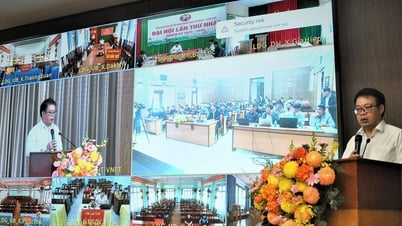 Tập huấn thi hành Luật Đất đai 2024 cho 124 xã phường trong tỉnh