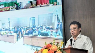 Lâm Đồng: Tập huấn thi hành Luật Đất đai năm 2024 cho 124 xã phường trong tỉnh