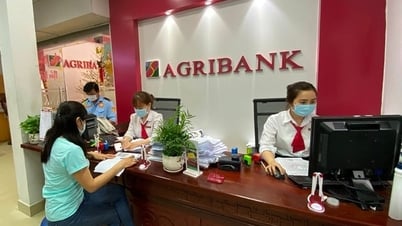 Lãi suất tiền gửi ngân hàng Agribank tháng 7/2025: Giữ ổn định, cao nhất 4,8%/năm