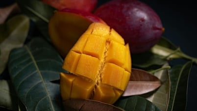 Phương pháp đơn giản giúp bảo quản xoài tươi lâu cả tháng