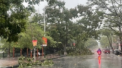 Thường trực Thành uỷ Hải Phòng chỉ đạo tăng cường phòng chống bão số 3