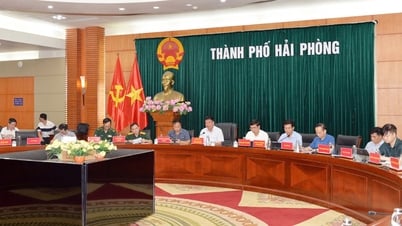 Hải Phòng chủ động triển khai các nhiệm vụ ứng phó bão số 3