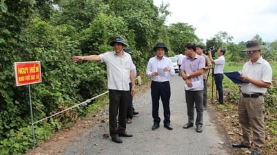 Phó Chủ tịch UBND tỉnh Vĩnh Long khảo sát sạt lở tại xã Phong Thạnh