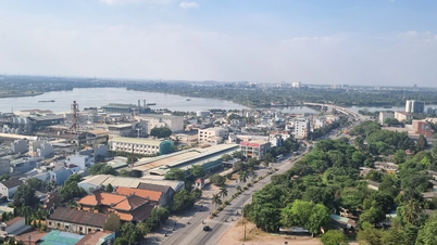 Ngừng cung cấp dịch vụ hạ tầng tại Khu công nghiệp lâu đời nhất miền Nam