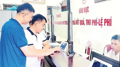 Vận hành chính quyền địa phương 2 cấp ổn định, nền nếp