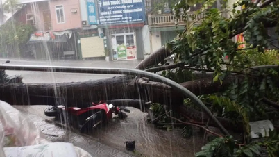 Miền Bắc: Bão chưa vào, trời đã tối sầm, dông lốc và mưa đá
