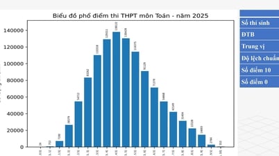 Thay đổi đề thi toán thế nào trong thời đại AI?