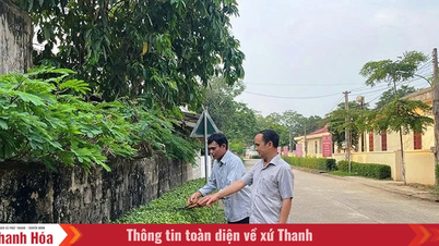 Bí thư chi bộ, trưởng thôn tận tâm với công việc