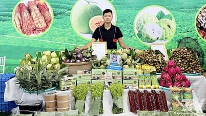 Chàng kỹ sư trẻ và hành trình gieo xanh đất núi