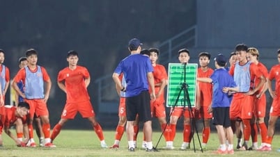  Giải U23 Đông Nam Á 2025: U23 Việt Nam hướng tới chiến ...
