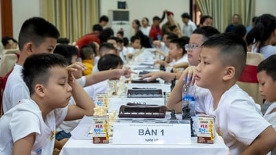 Hơn 400 kỳ thủ dự Giải vô địch cờ vua trẻ xuất sắc quốc gia năm 2025