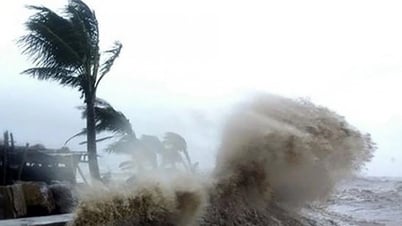 Bão Wipha có nhiều nét tương đồng với bão Yagi, đang...