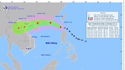 Bão Wipha vào Biển Đông, chính thức trở thành cơn bão số 3, Hải Phòng chủ động ứng phó