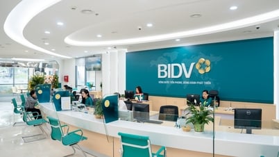 Lãi suất tiền gửi ngân hàng BIDV tháng 7/2025: Cao nhất đạt 4,9%/năm
