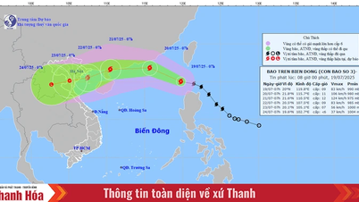 Bão Wipha trở thành cơn bão số 3 năm 2025