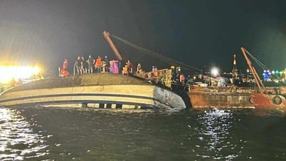 Yêu cầu kiểm tra cơ sở lưu trú, hướng dẫn tàu thuyền hoạt động tránh bão