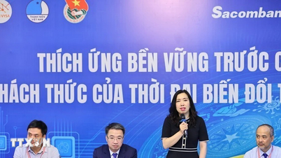 Trí thức Trẻ Việt Nam toàn cầu góp sức hết mình phát triển đất nước