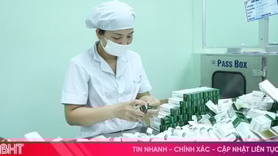 Kinh tế tư nhân nâng tầm sản phẩm “made in Hà Tĩnh”