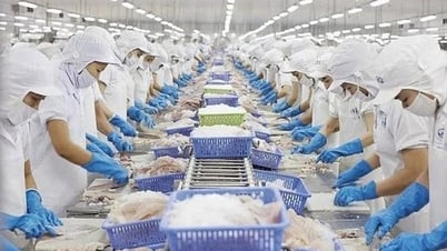 Trung quốc nhập khẩu thủy sản lớn nhất từ Việt Nam