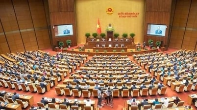 Nghị quyết của Ủy ban Thường vụ Quốc hội khóa XV