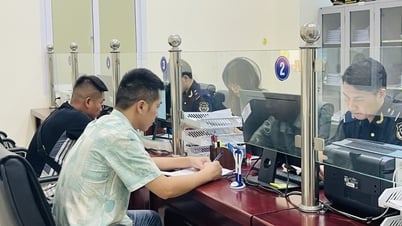 Tổng kim ngạch xuất nhập khẩu qua cửa khẩu quốc tế Trà Lĩnh đạt hơn 226,7 USD - Báo Cao Bằng điện tử