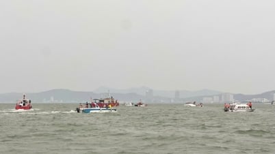Nỗ lực triển khai công tác cứu hộ, cứu nạn vụ đắm tàu du lịch