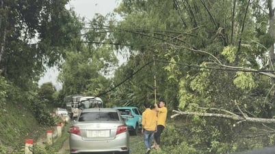 Mưa đá, giông lốc nhiều nơi, gây thiệt hại tài sản, hoa màu của người dân - Báo Cao Bằng điện tử