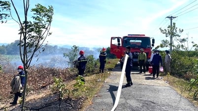 Kịp thời dập tắt cháy rừng trồng ở phường Phong Phú