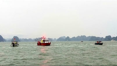 Lật tàu du lịch trên Vịnh Hạ Long, nhiều lực lượng tham gia cứu nạn