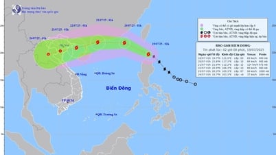 Bão Wipha đang tiến vào Biển Đông, có khả năng mạnh lên cấp 11 - 12