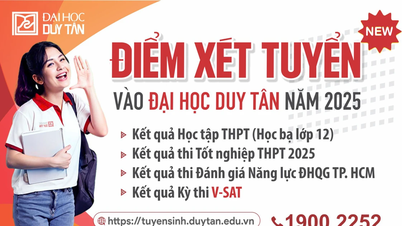 ĐIỂM XÉT TUYỂN VÀO ĐẠI HỌC DUY TÂN ĐỢT 1 NĂM 2025 Mã trường: DDT