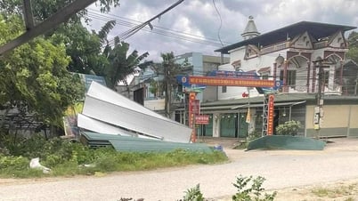 Dông lốc làm gãy đổ nhiều cây xanh, hư hại công trình dân sinh