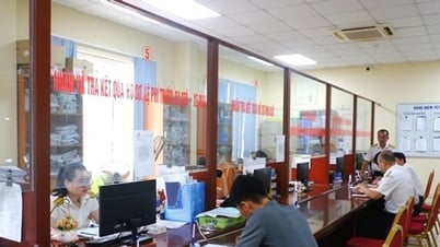オンラインビジネスの脱税事件に断固対処する