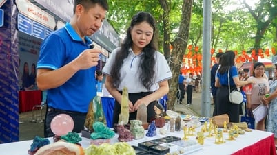 Mang đá quý đến Ngày hội lựa chọn nguyện vọng xét tuyển