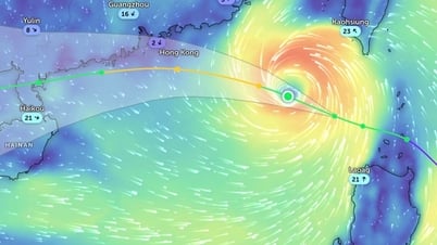 Nghệ An ra công điện ứng phó với bão và nguy cơ mưa lớn, lũ, ngập lụt, lũ quét, sạt lở đất do ảnh hưởng bão số 3 WIPHA